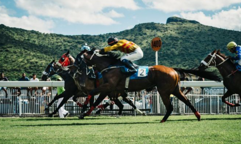 kappacourse || kapacourse || kappa course